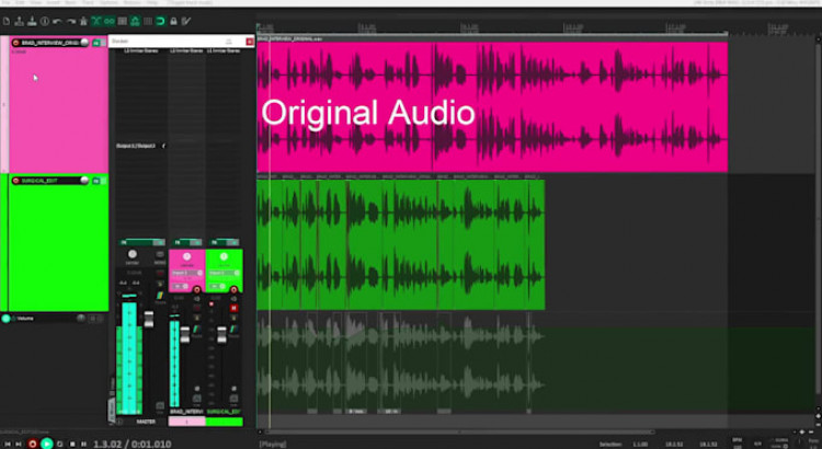 I will edit your podcast with surgical edits