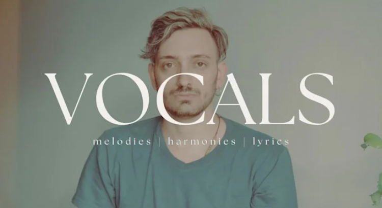 I will add lead or backing vocals for songs or covers, male singer for composers