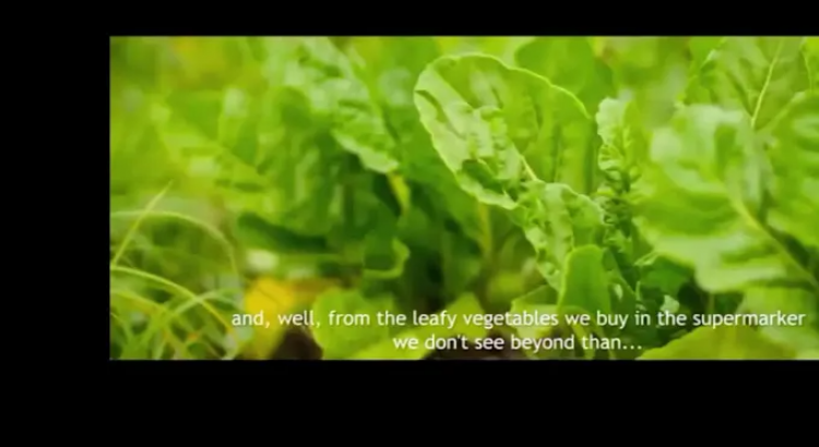 I will record a female french voice over and dubbing