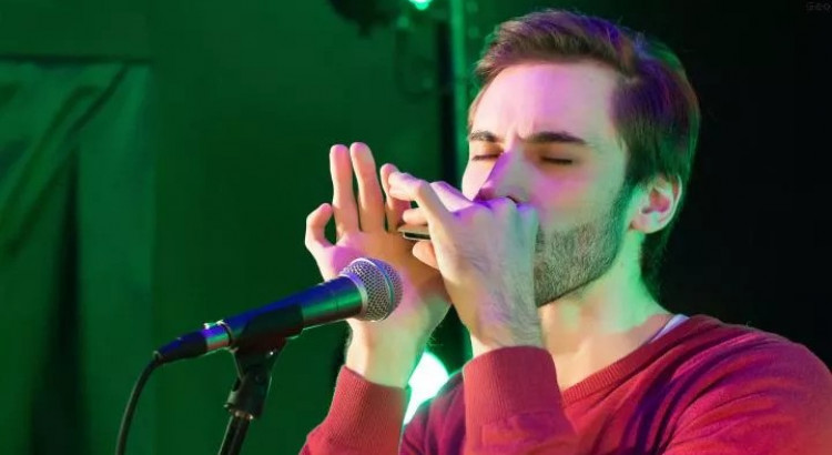 I will Fabulous HARMONICA in variety of genres