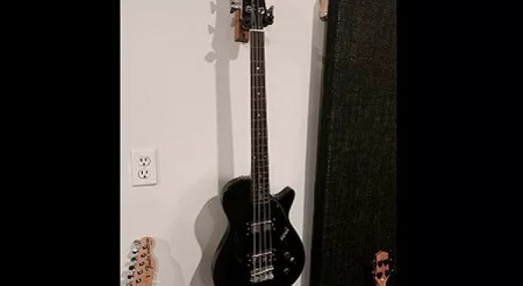 I will Professional Bass Player 20+ years experience Live & Studio