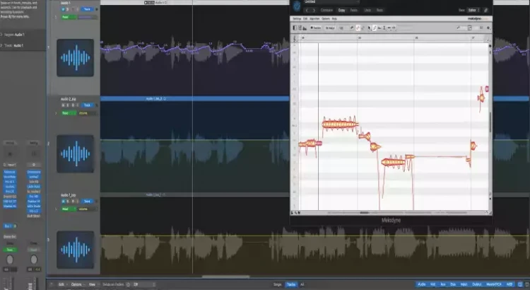 I will Vocal Edits For Pro Results